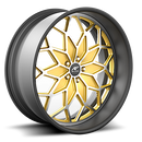 Motivo - Amani Forged Wheels