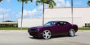 Dodge Challenger on LP-5 - Amani Forged Wheels