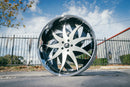Skunk - Amani Forged Wheels